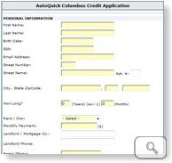 DWI Credit Application Form